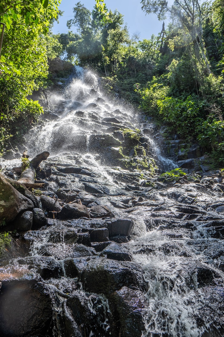 A waterfall in dense forest