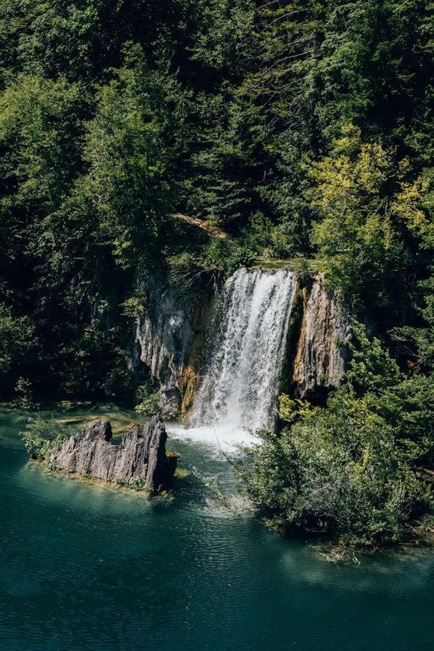 A waterfall in a forested gorge